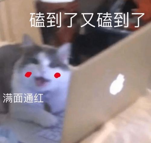  对不起,这对cp我是真的嗑过,即使他们都结婚了