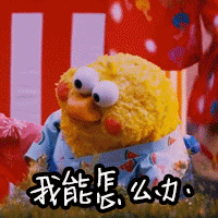  年终回忆录时光不驻记忆永存