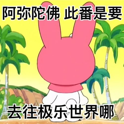  阴阳大师美乐蒂表情包欢迎来到尼姑庵的世界