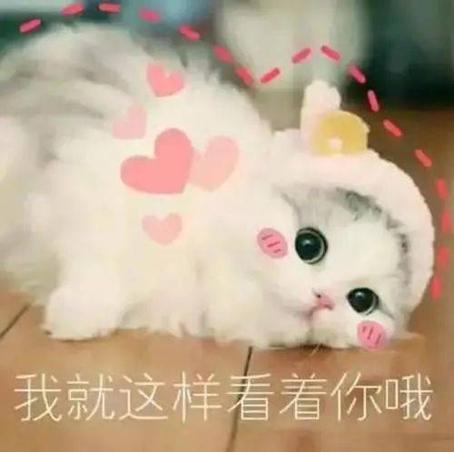  新生必看第一弹你想知道的都在这