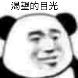  28天后,我们就睡在师院不走了新生手册02