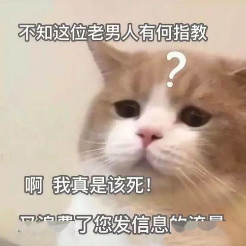 大家好表情包搞笑遗嘱