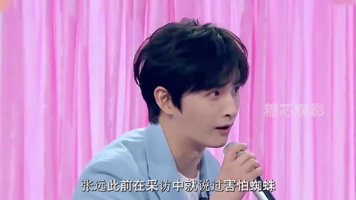张远表情包王铮亮