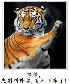 厉害了男子万米高空欲劫机中国乘客徒手将其制服 厉害了男子万米高空欲劫机中国乘客徒手将其制服