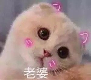  斗图小表情9.27