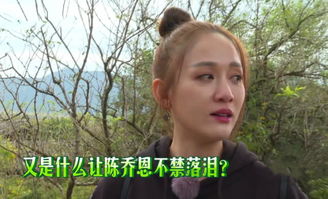  汪涵你就是个锤子,欧弟你才是个锤子,路人表情亮了