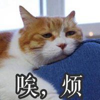  橘猫忧伤表情包微信头像图片大全