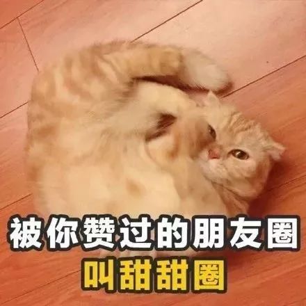  那些年流行的土味情话