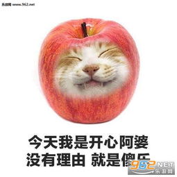  今天我是开心阿婆没有理由就是傻乐表情包今天我是臭屁慢狗我不流泪只是骂人水果动物表情包下载乐游网游戏下载