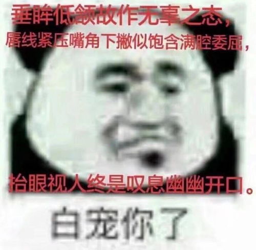 发工资的表情包去哪
