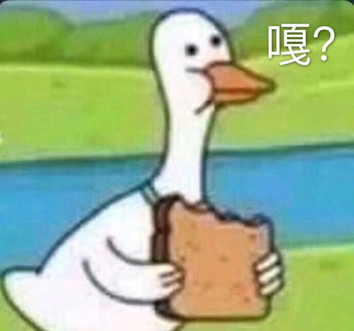  有没有能镇住全场的沙雕表情包,斗图输了,求助