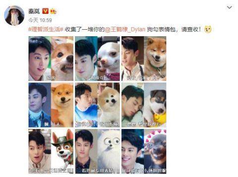 cp发糖表情包成渝