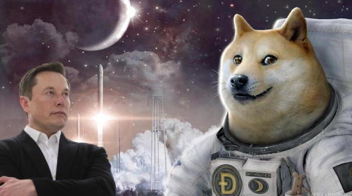  狗狗币如此火爆,马斯克说要带一枚狗狗币到月球,这不是表情包吗