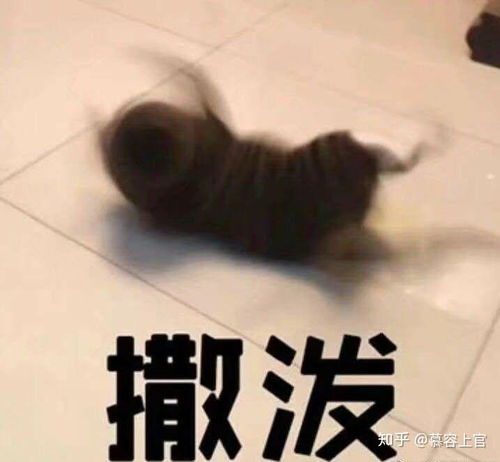  治唇炎,推荐曼秀雷敦唇膏好用