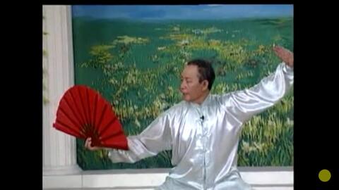  易鹏太极拳11易鹏太极文化及24式太极拳演练吴孙陈杨各派太极拳竞赛套路