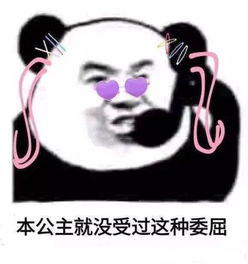  暴躁熊猫头子你们结婚算了,这么能聊,结婚多好
