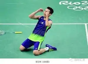 李宗伟打败林丹比拿奥运金牌更有成就感 李宗伟打败林丹比拿奥运金牌更有成就感