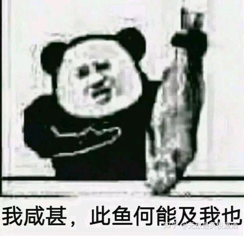 崩坏老玩家回归有什么福利