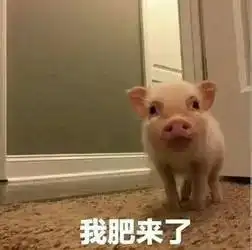 一句话自黑家乡,真服了你们这些戏精 一句话自黑家乡,真服了你们这些戏精