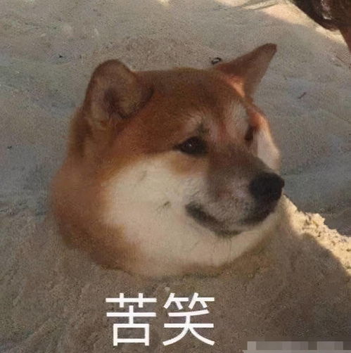 500万户家庭资产超过600万,15超亿元资产家庭为炒房者