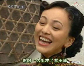  那些年嘉定人一起追过的经典电视剧,部部戳中内心