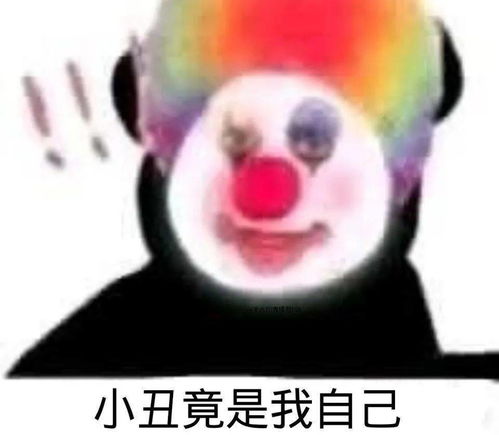  请查收你的人生答案书