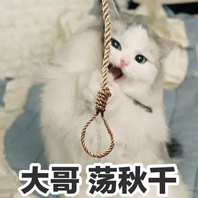  这位壮士,斗图吗