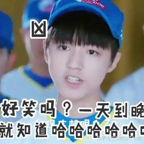 tfboy表情包猫砂