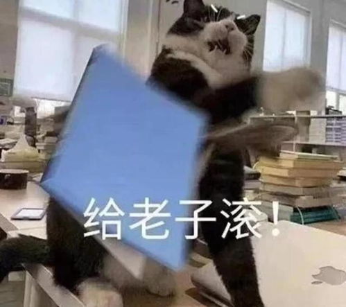  模特广告妆容眯眯眼沦为全民公敌网友有被冒犯
