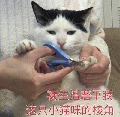  东北人,第一次离开家去上海工作,因为身体比较弱,来了一周水土不服一直胃疼瑟瑟发抖,我应该继续坚持吗