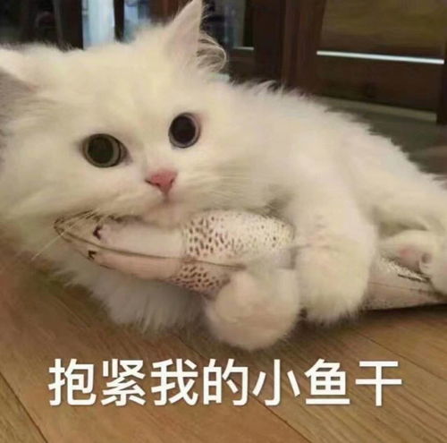  出道22年不温不火,好友杨紫牛骏峰混的有模有样,细扒童星余玥的蜕变之路
