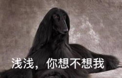  八卦吐槽影视娱乐八卦明星绯闻八卦吐槽第714页365经典网