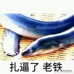 主播琪琪黄鳝门火了黄鳝我们走表情包够狠 主播琪琪黄鳝门火了黄鳝我们走表情包够狠