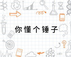  你懂个锤子