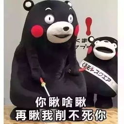  东北人没你想的这么简单