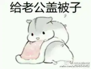 这个仓鼠表情叫什么求这个表情的表情包 这个仓鼠表情叫什么求这个表情的表情包