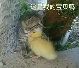 你走了,留下我一个人,为你收藏的表情包怎么办,发给谁 你走了,留下我一个人,为你收藏的表情包怎么办,发给谁