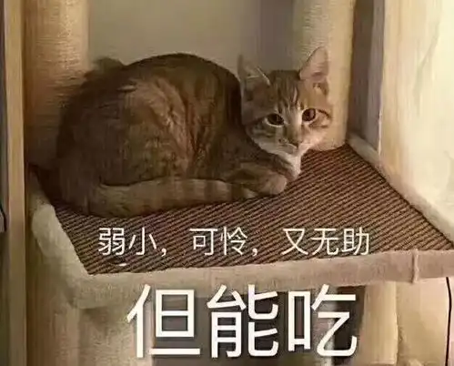 我是那条想要百万年薪的咸鱼 我是那条想要百万年薪的咸鱼