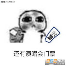  攒钱买了演唱会门票图片要饭系列追星表情包下载乐游网游戏下载