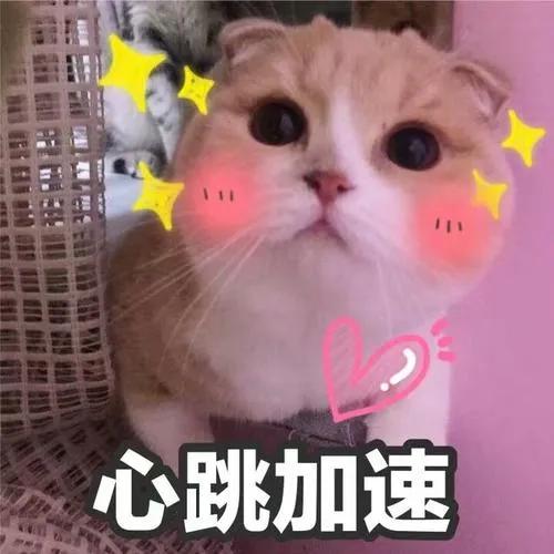  2020qs世界大学就业力排名出炉mit第一,清华力压剑桥牛津,排名第六