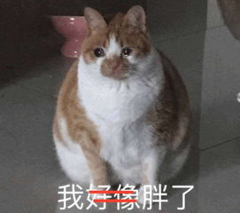  艺彩人大丨人大校内体育资源整合