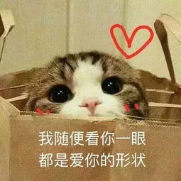  她是金庸眼里唯一的小龙女,英姿飒爽的杨八妹,在爱情中低到尘埃里,默默做公益无人知