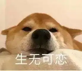 小学生面试官招募令你的外教,由你把关 小学生面试官招募令你的外教,由你把关