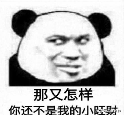  熊猫头怼人表情包雾散了,云飘了,你又开始叫嚣了
