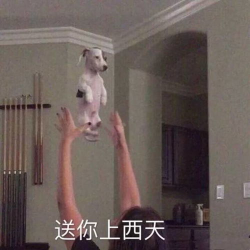  为什么有人总爱抬杠教你一秒治服身边的杠精