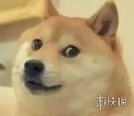 难以置信英语表情包doge