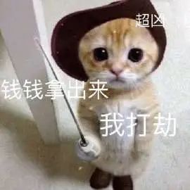 我中国猫可不是好欺负的第289期喵表情 我中国猫可不是好欺负的第289期喵表情