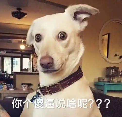  最常用的爆趣表情包,喵星人的表情包果然是最帅的,仙女必备