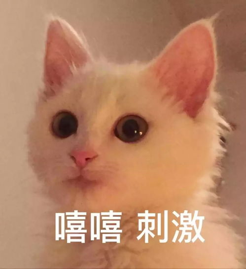  心疼海兰小天使因妊娠纹被嫌弃防治妊娠纹锦囊在这里
