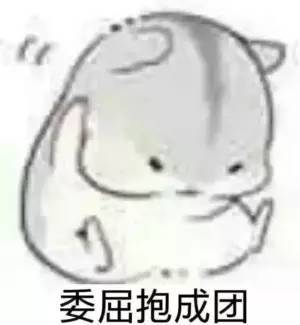 找人的表情包仓鼠